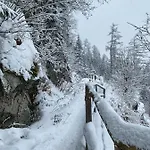 Svistovka