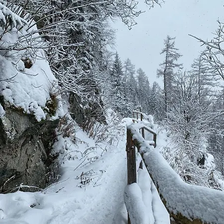 Svistovka