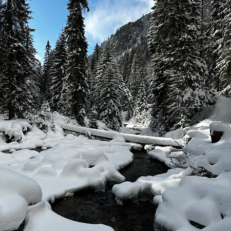 Svistovka *