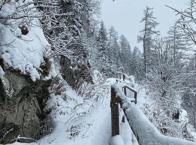 Svistovka