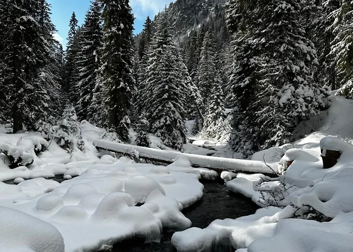 Svistovka *